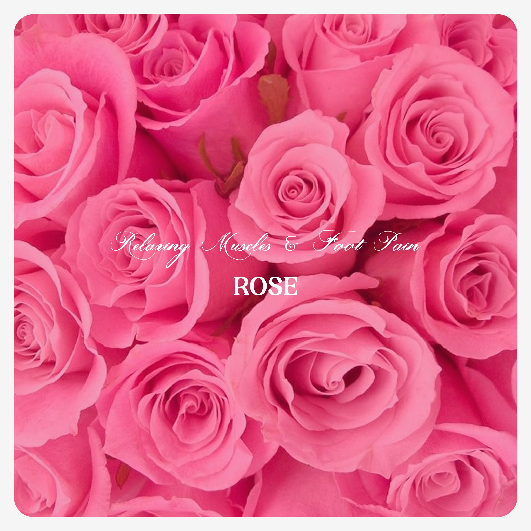 Rose Oil