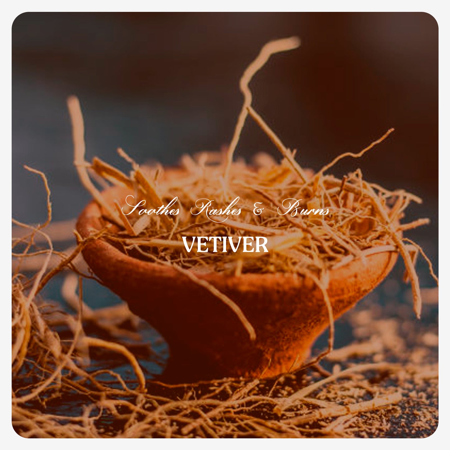 Vetiver Oil