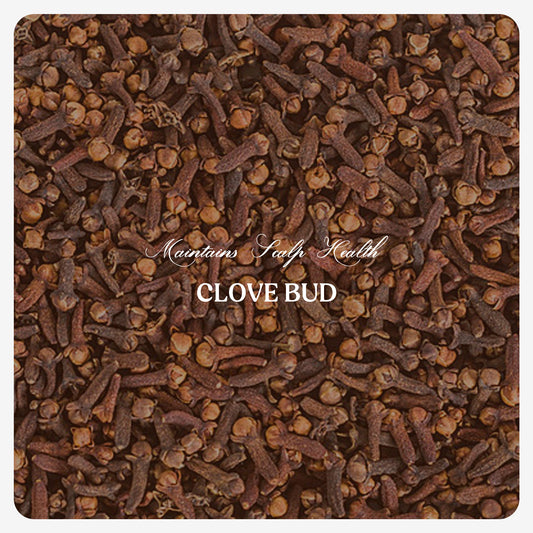 Clove Bud Oil