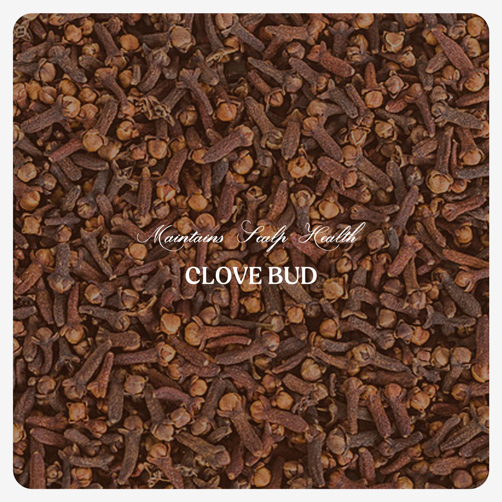 Clove Bud Oil