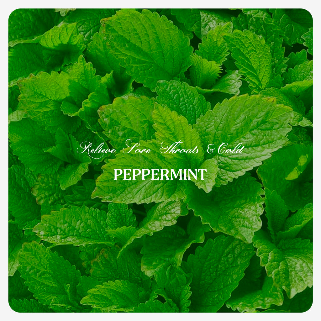 Pepper Mint Oil