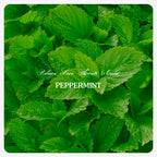 Pepper Mint Oil