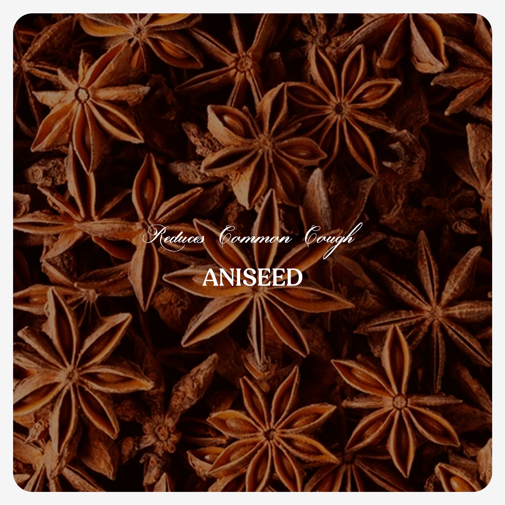 Aniseed Oil