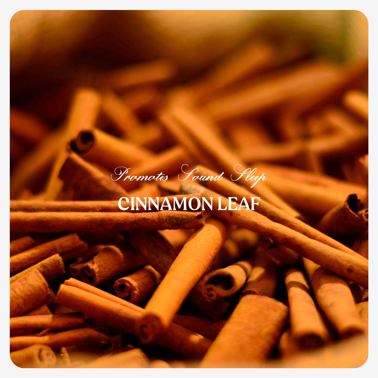 Cinnamon Leaf Oil