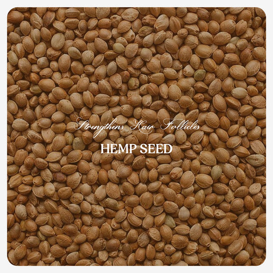 Hemp Seed Oil (Cold Pressed)