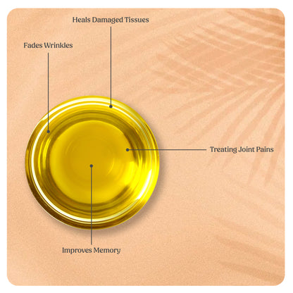 Organic Pumpkin Seed Oil (Cold Pressed)