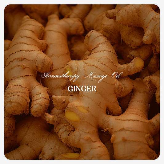 Ginger Oil