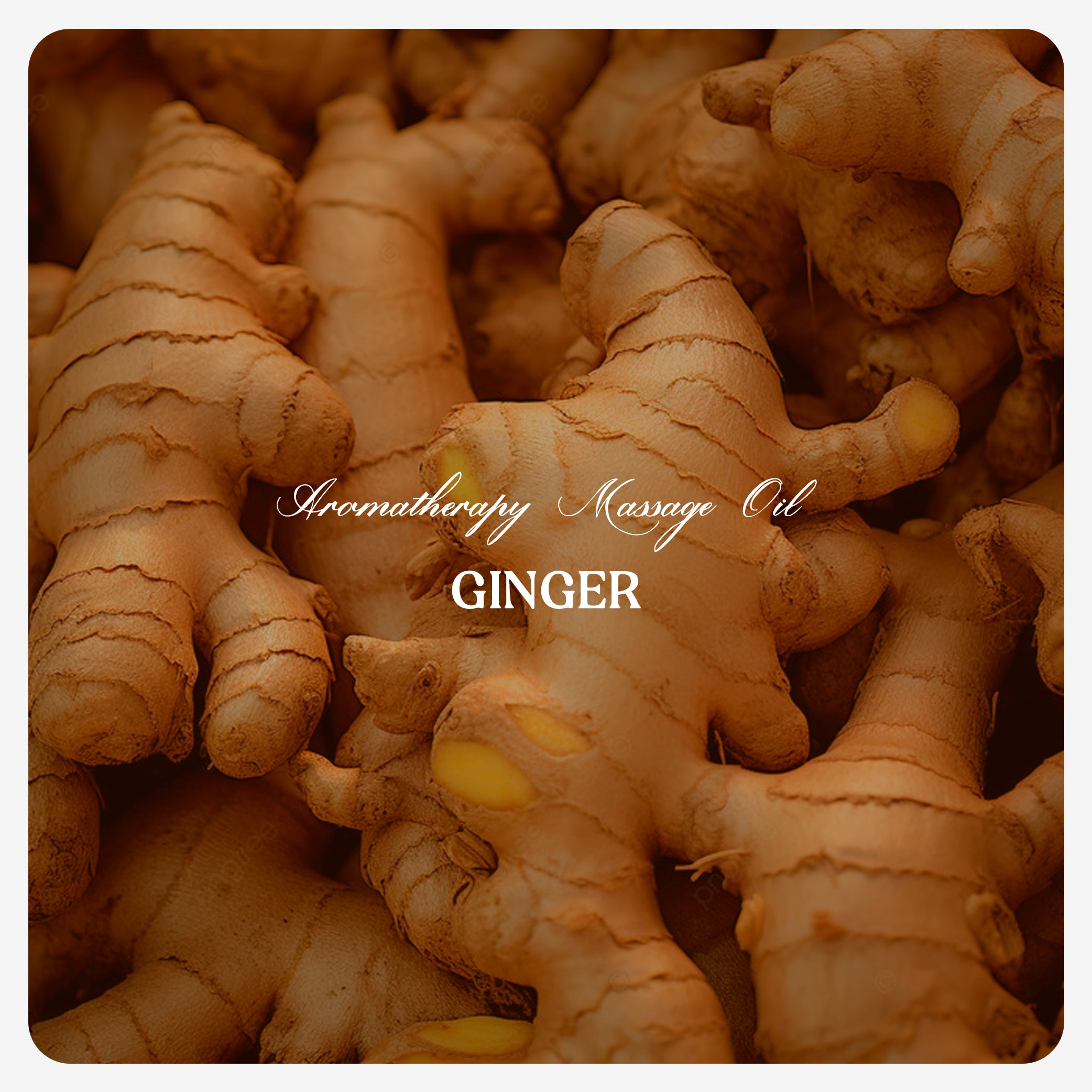 Ginger Oil