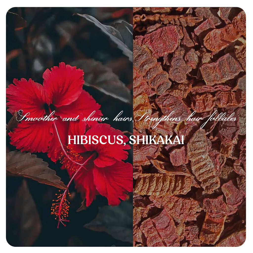 Hair Shampoo | Hair Conditioner (Combo)