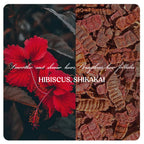 Hair Shampoo | Hair Conditioner (Combo)