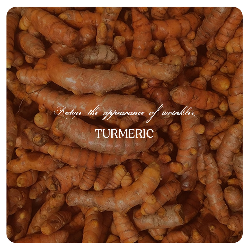 TURMERIC BODY WASH