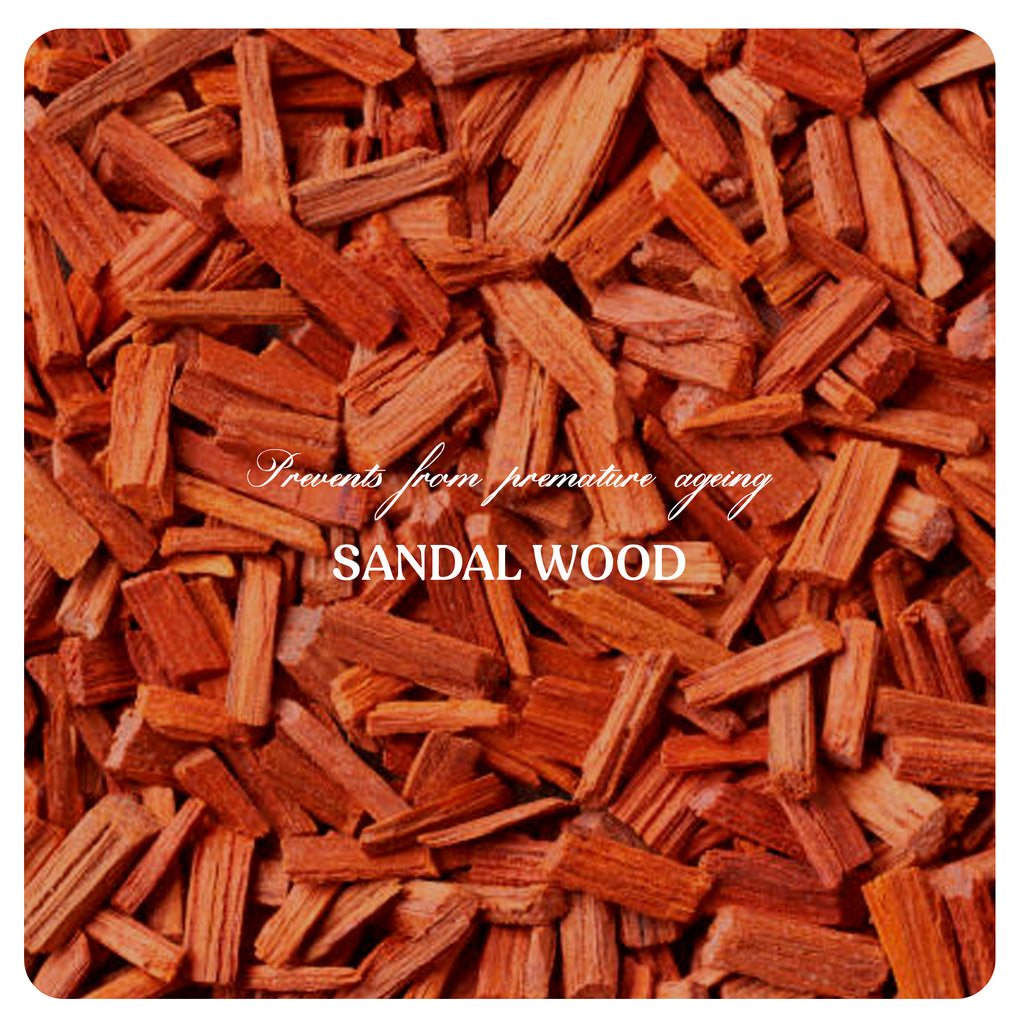 Daily Repair Day Cream