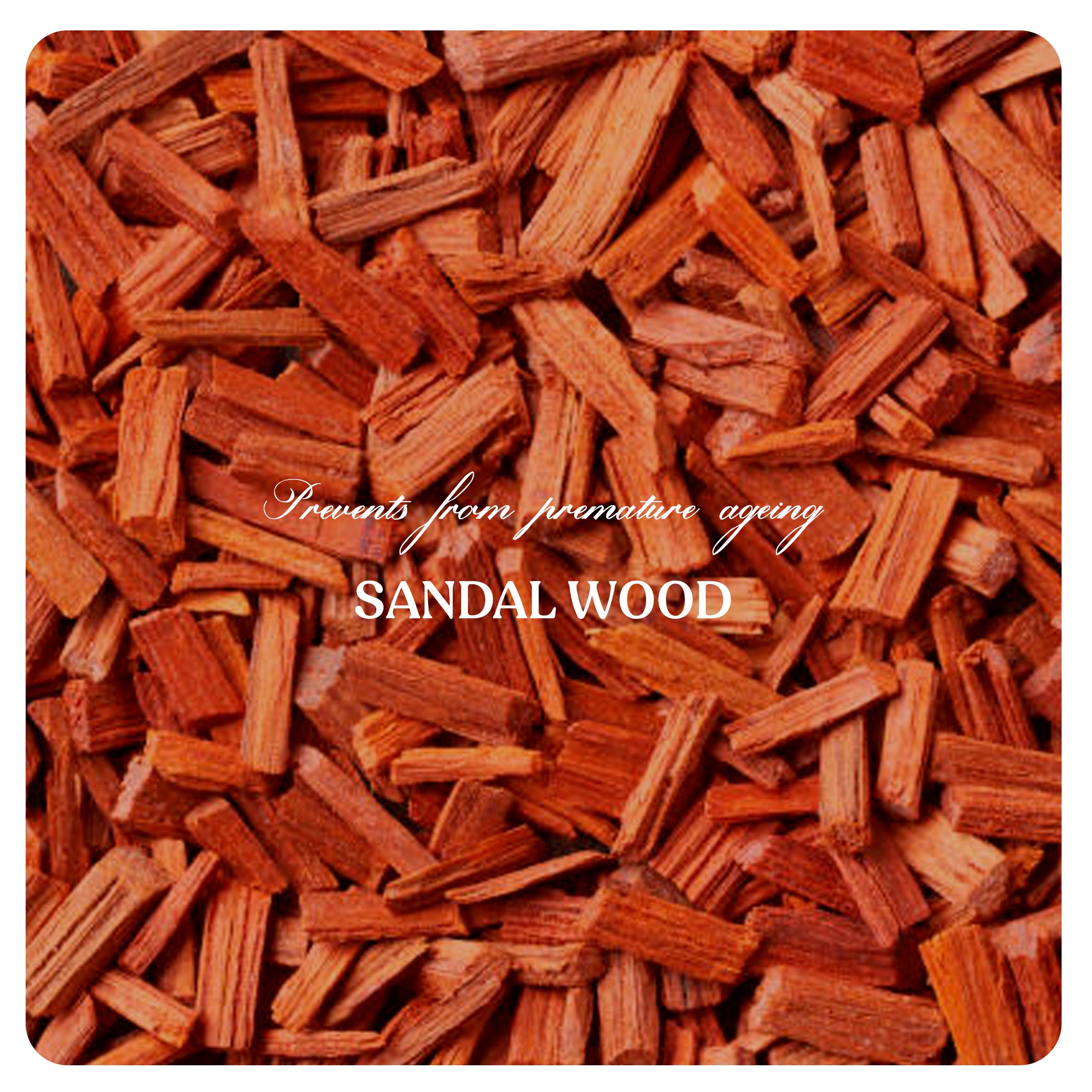 Daily Repair Day Cream