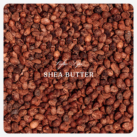 Shea Butter Lip Balm (Organic)