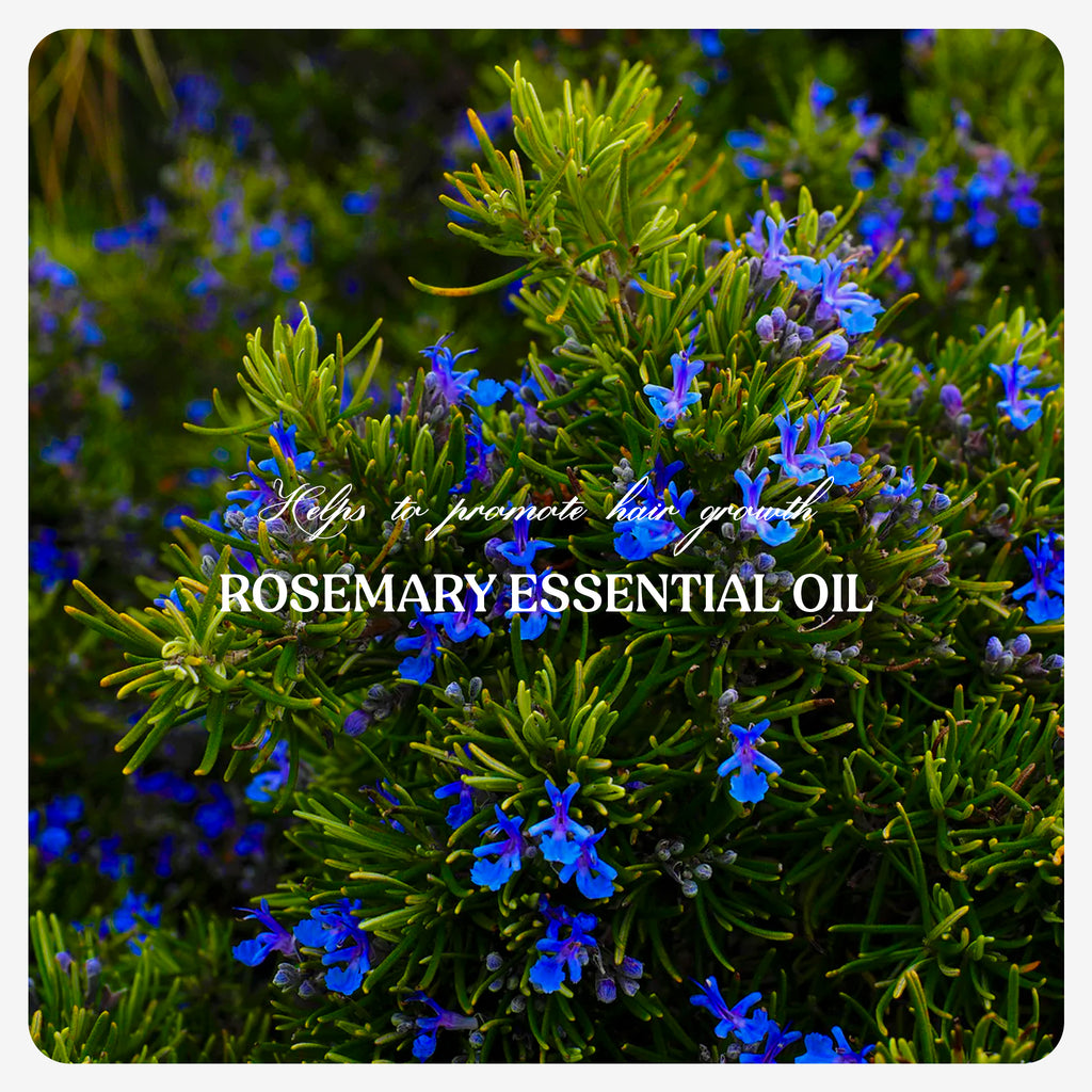 Rosemary Essential Oil