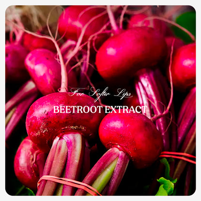 Tinted Lip Balm (Beetroot Red)