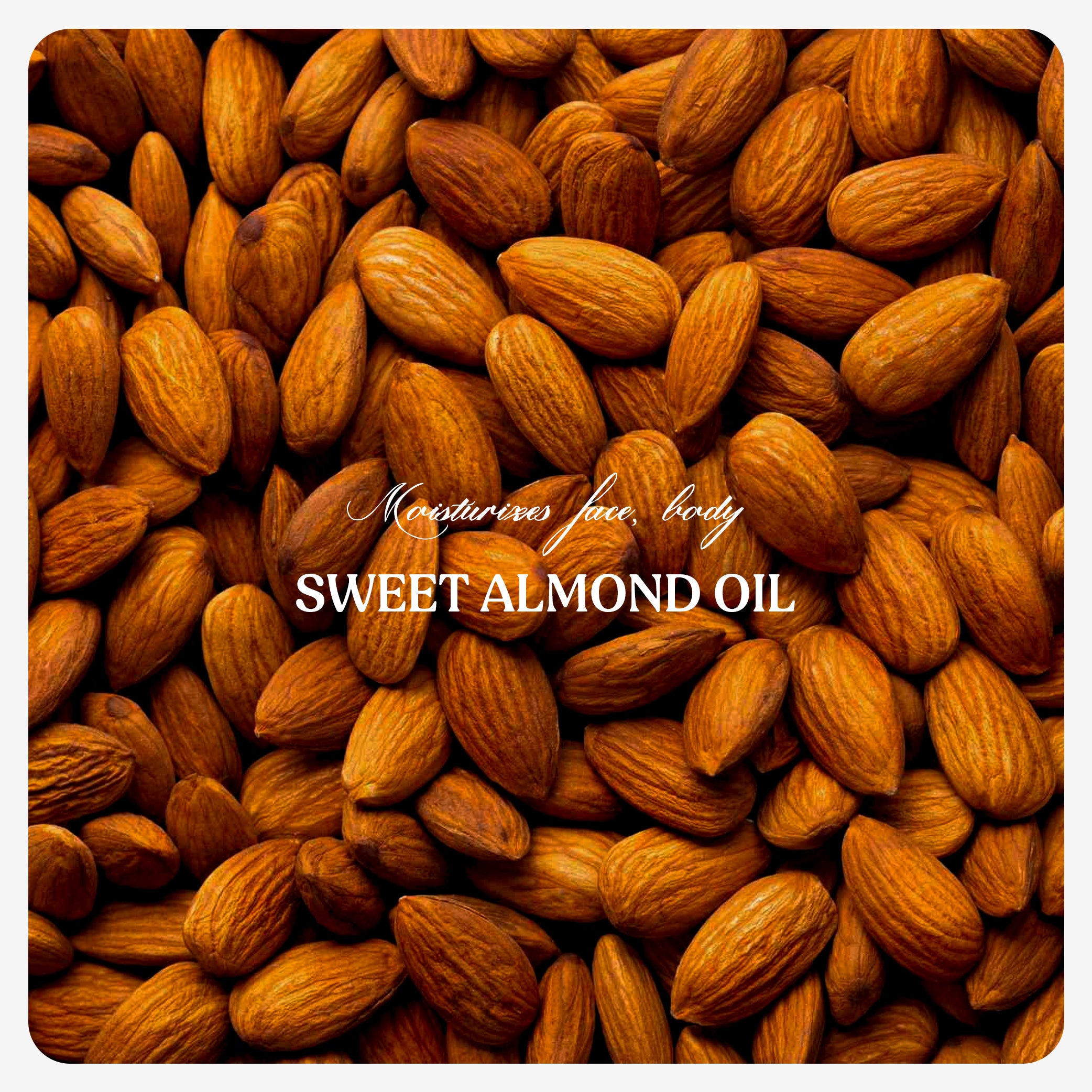 Sweet Almond Oil