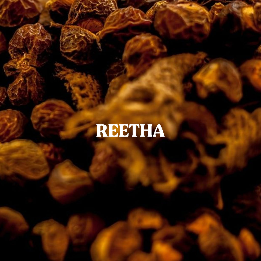 Reetha Powder