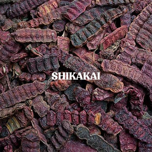 Shikakai Powder