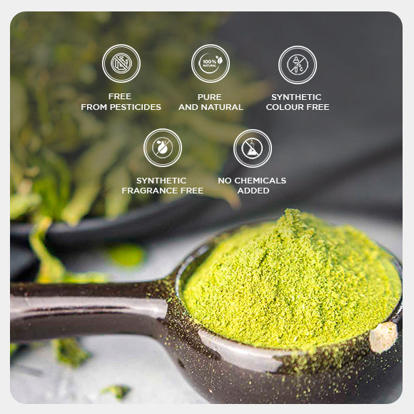Stevia Powder