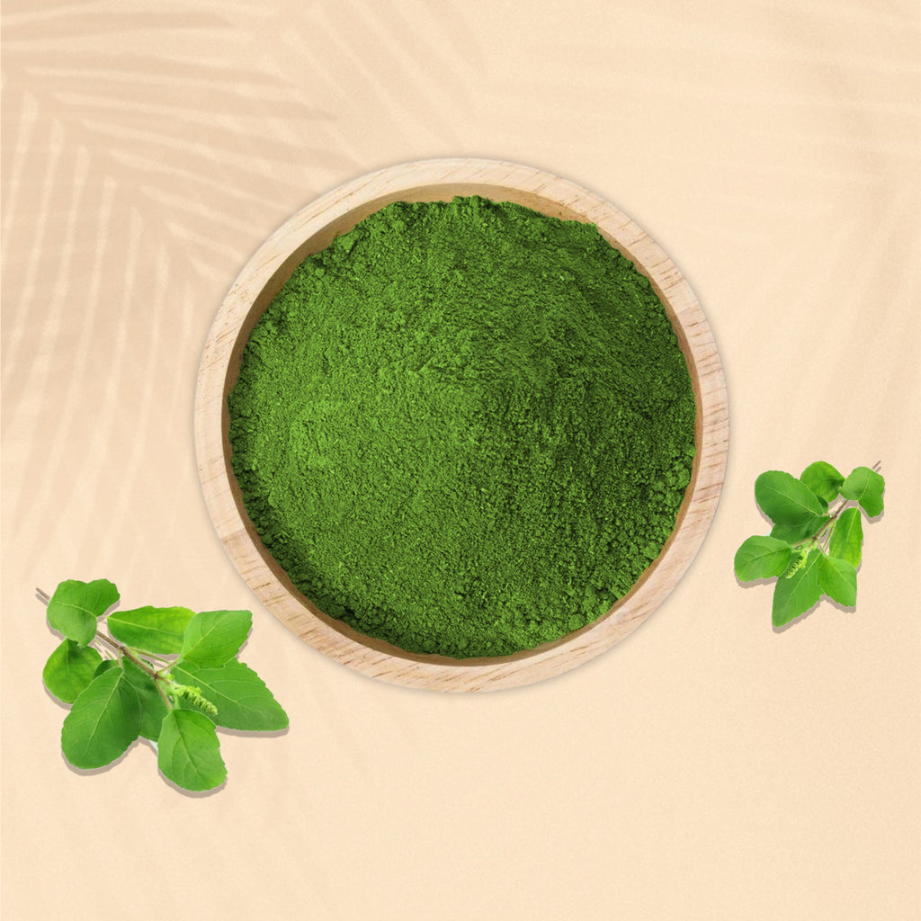 Tulsi Powder