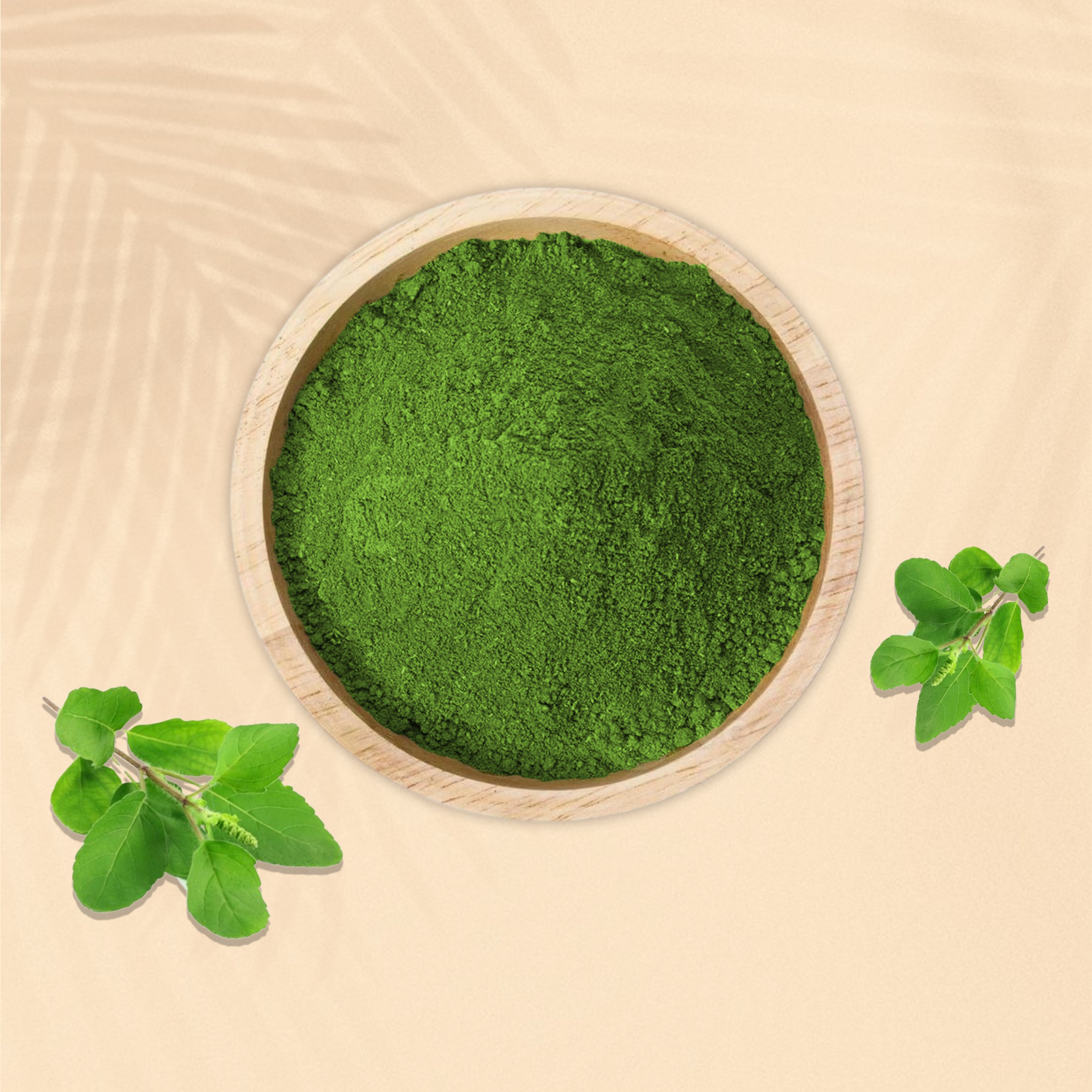 Tulsi Powder
