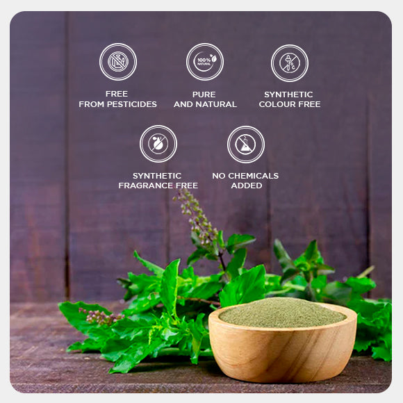 Tulsi Powder