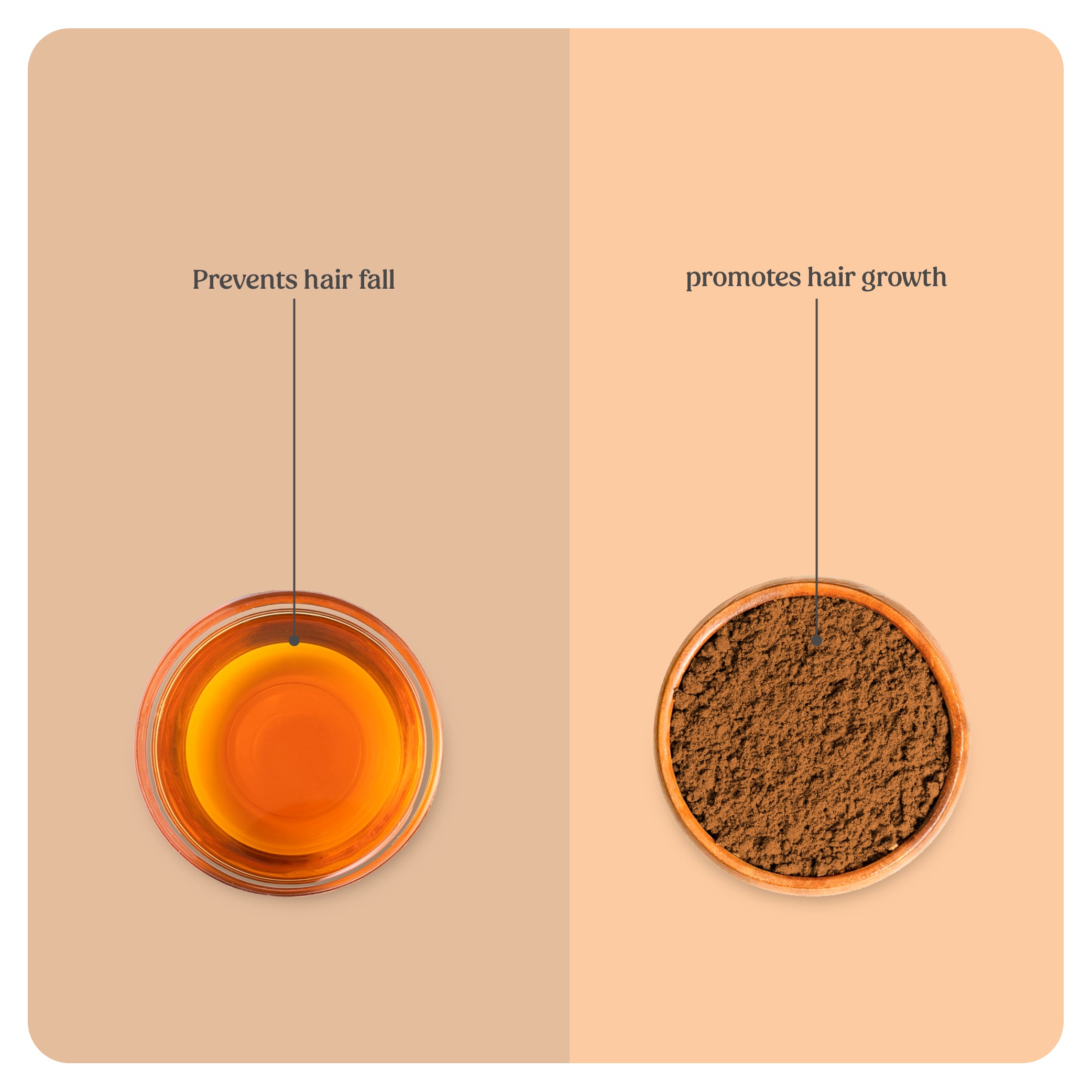 Hair Growth Oil | Hair Wash Powder (Combo)