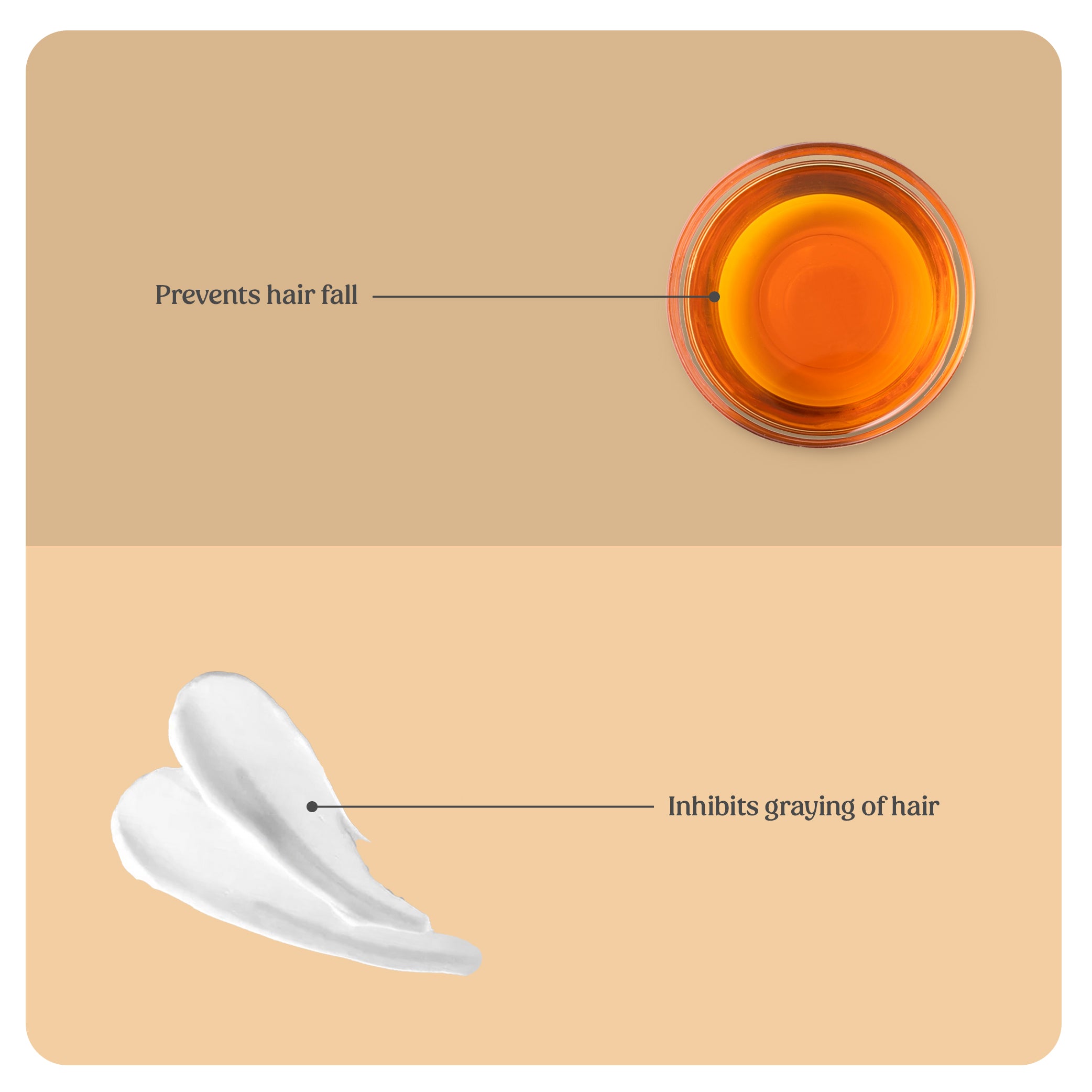 Hair Growth Oil | Shampoo (Combo)