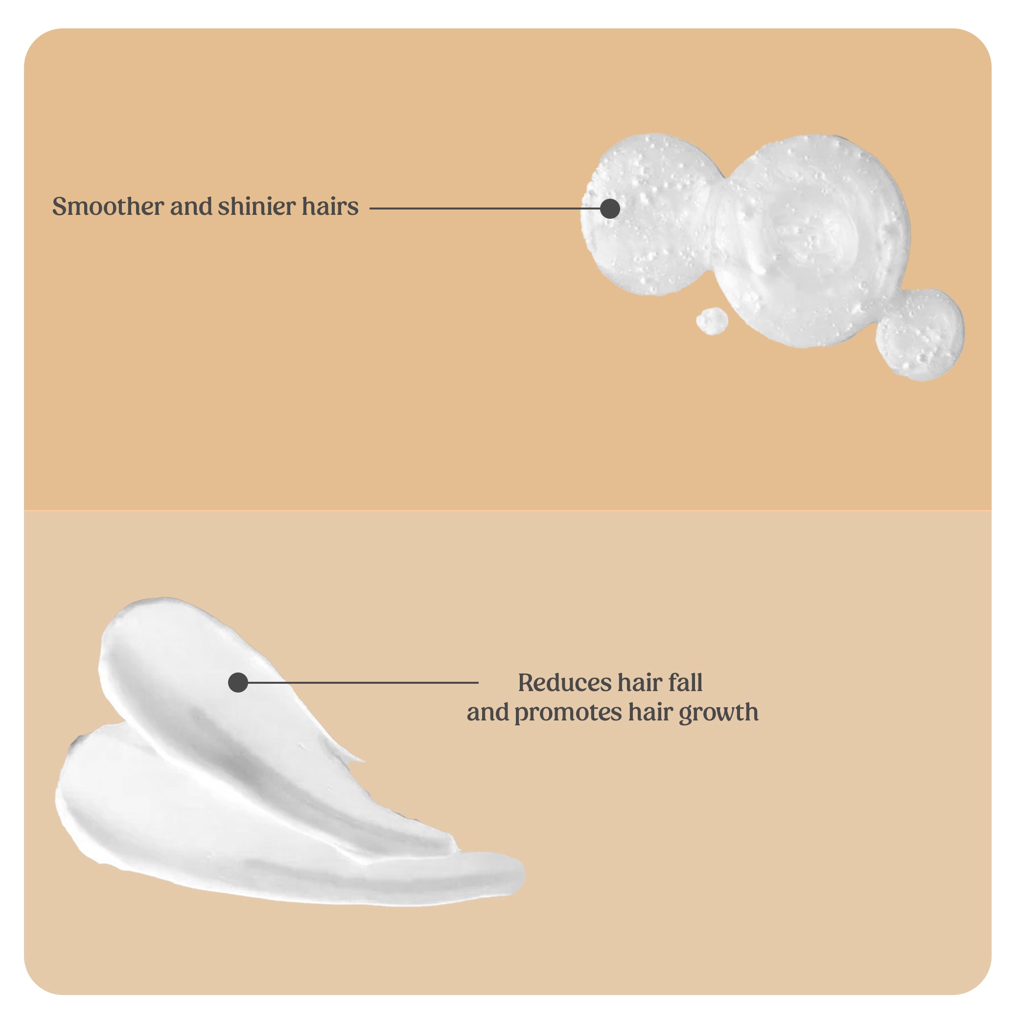 Hair Shampoo | Hair Conditioner (Combo)