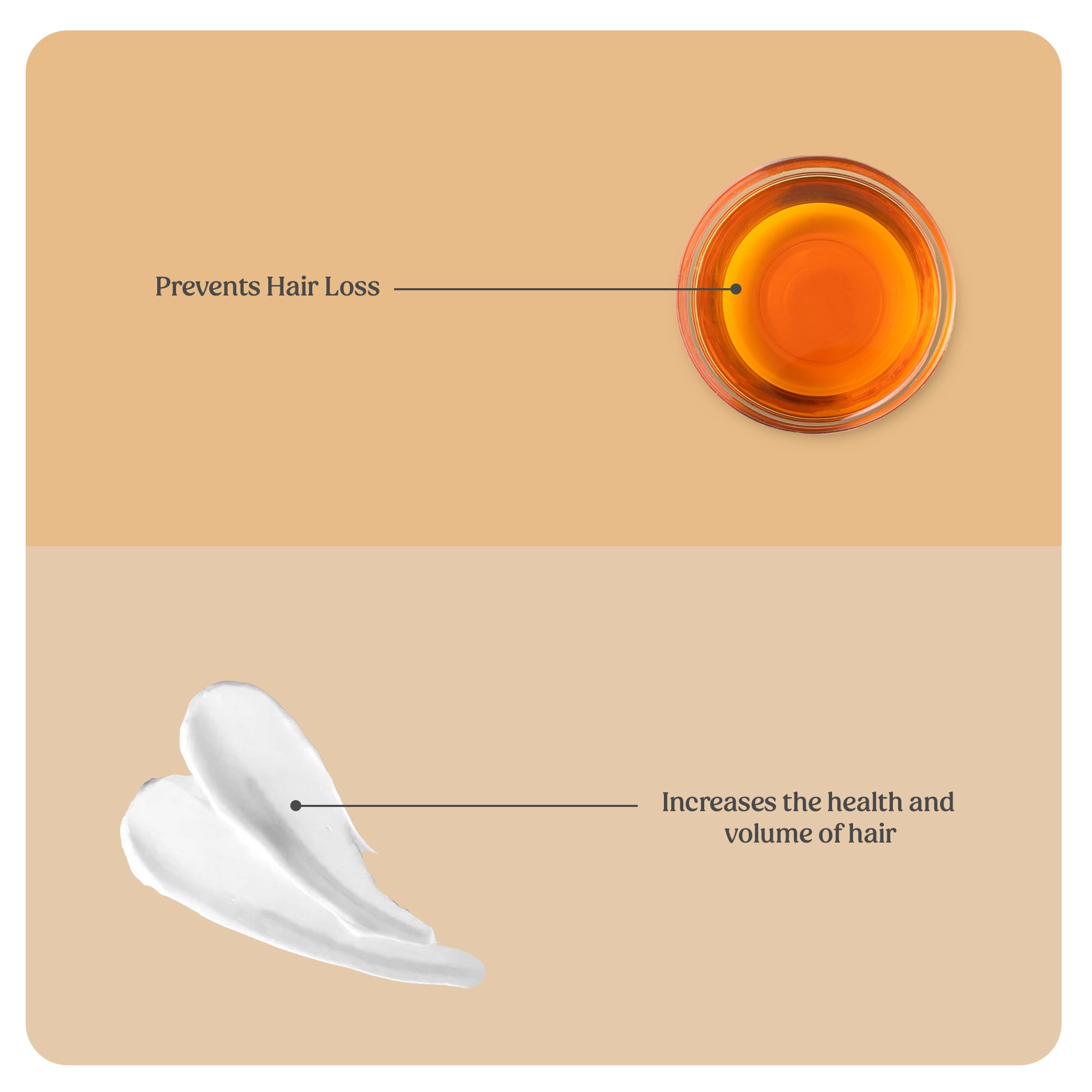 Premium Hair Growth Oil | Shampoo (Combo)