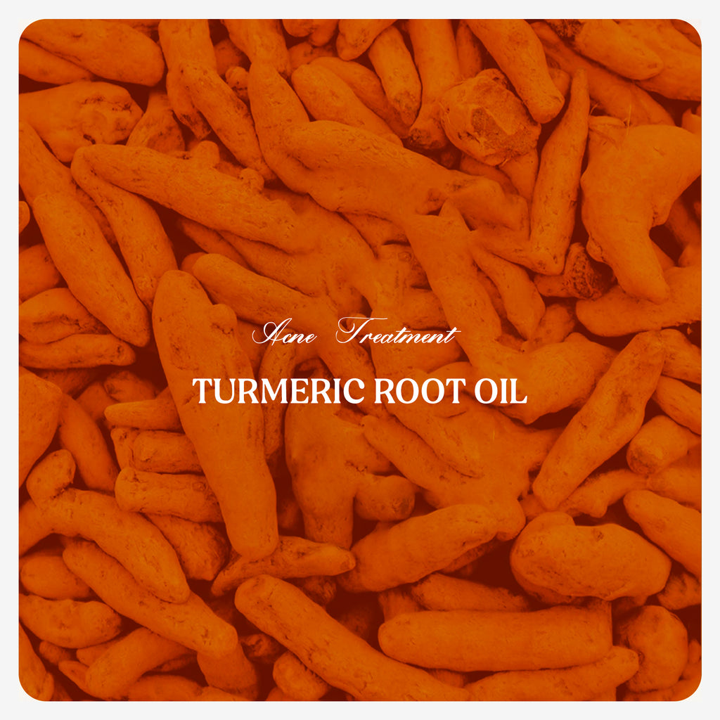 Turmeric Root Oil