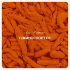 Turmeric Root Oil
