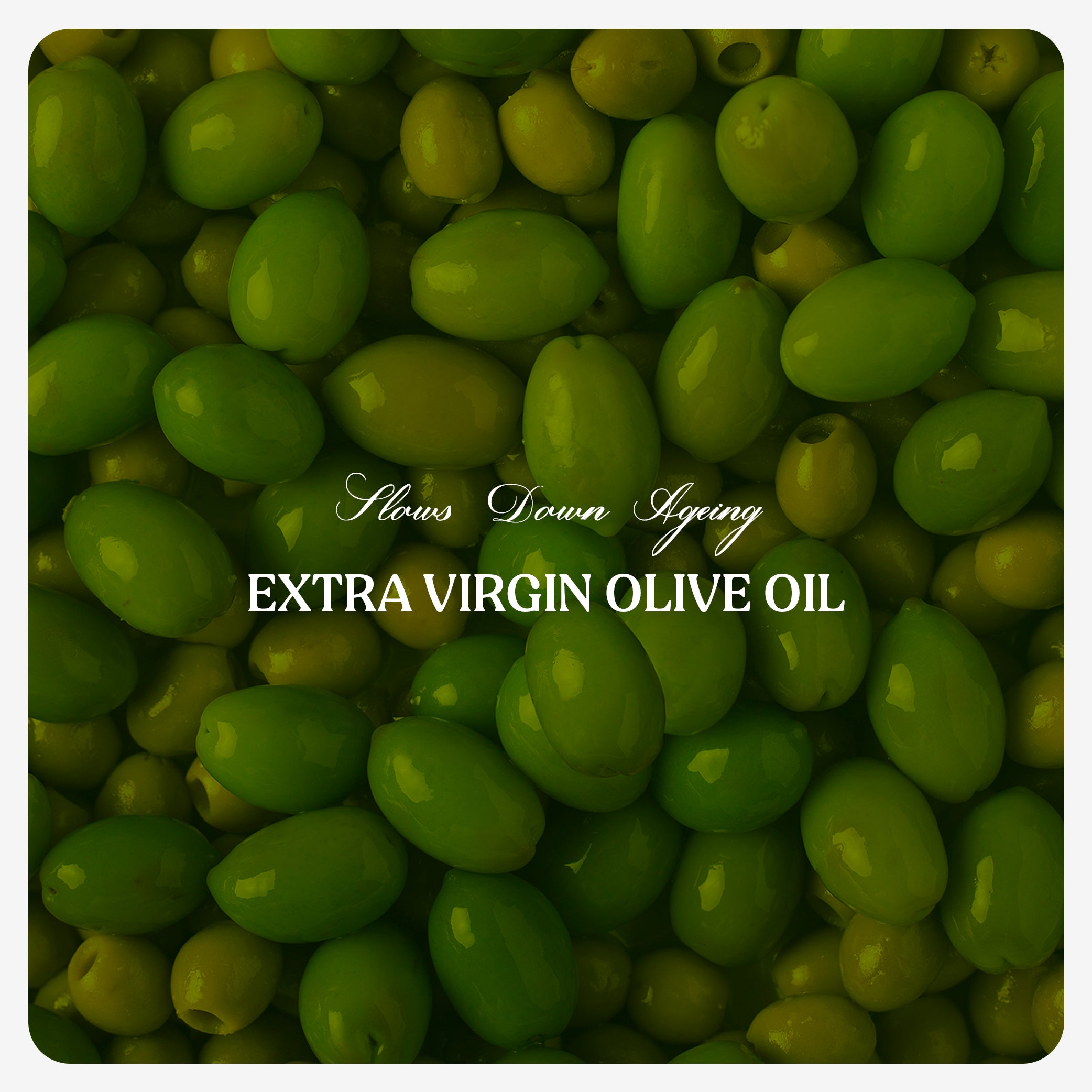 Olive Oil (Cold Pressed)