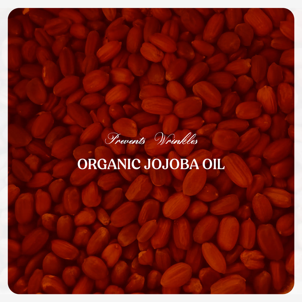 Jojoba Oil (Cold Pressed)