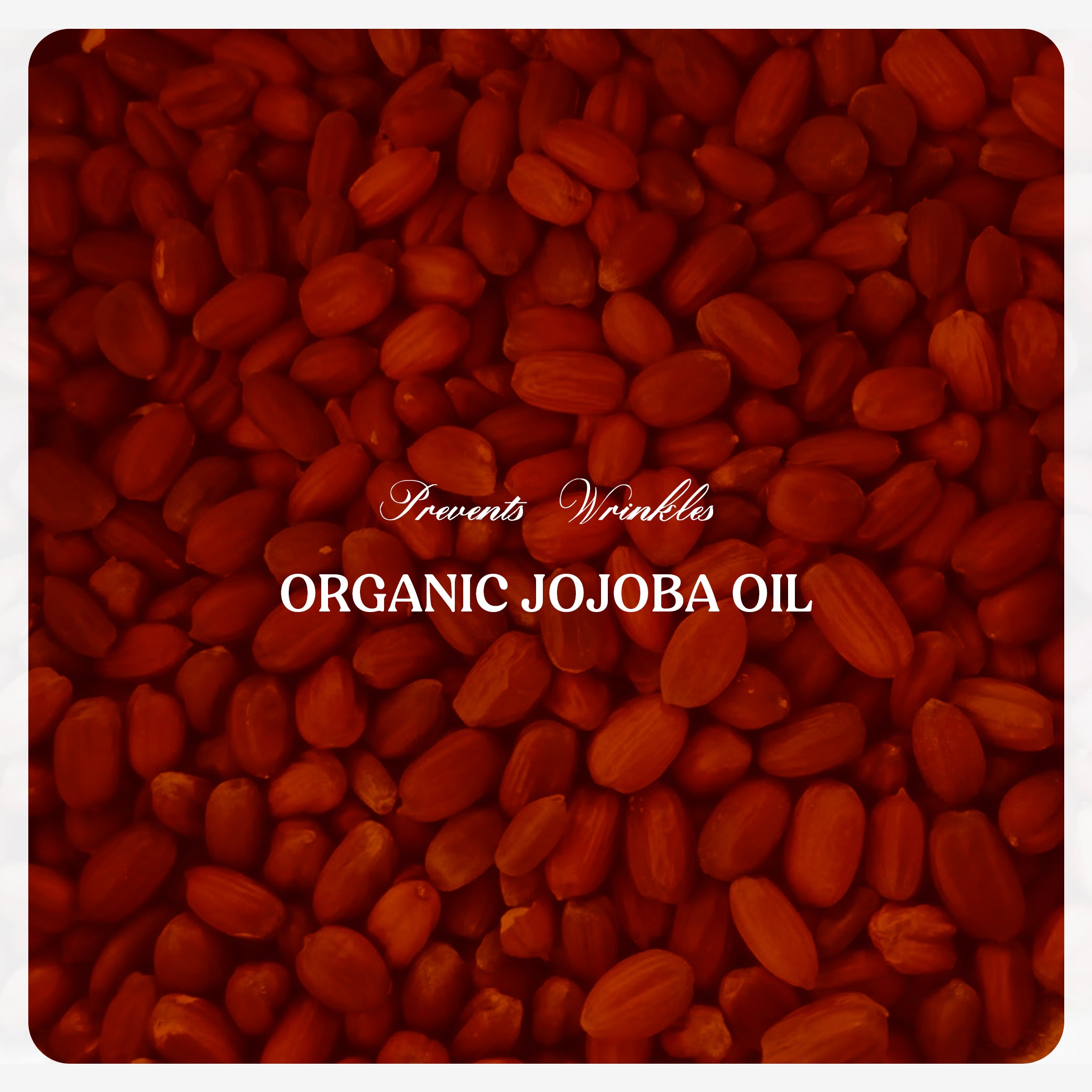 Jojoba Oil (Cold Pressed)