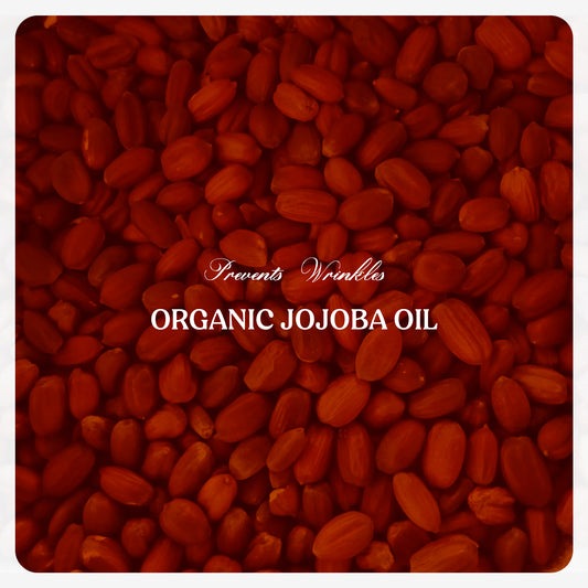 Jojoba Oil (Cold Pressed)